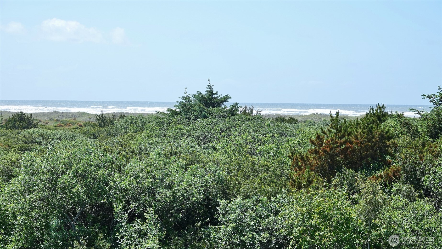 855 Ocean Shores Boulevard NW 203