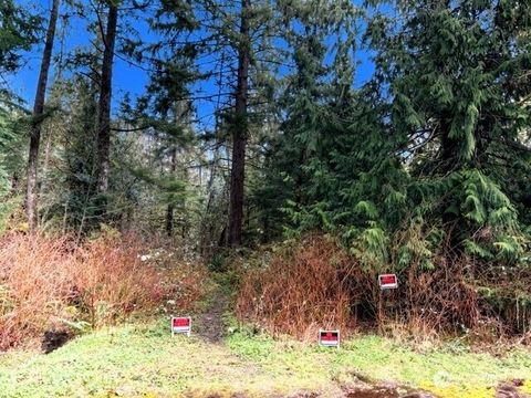 Photo of 0 441st Avenue SE, North Bend, WA 98045 (MLS # 2525256)