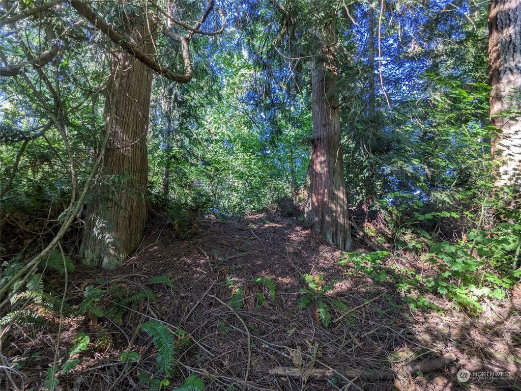 Photo of 6016 Storm Lake Road, Snohomish, WA 98290 (MLS # 2134291)