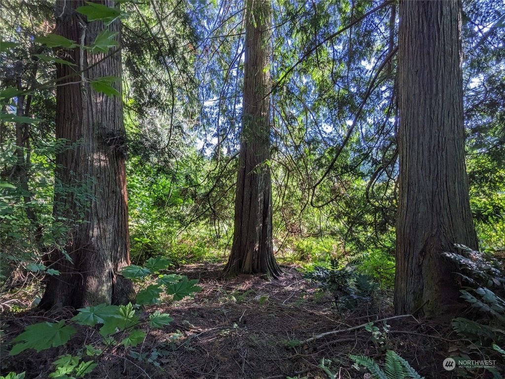 Photo of 6016 Storm Lake Road, Snohomish, WA 98290 (MLS # 2134291)