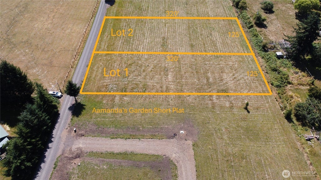 Photo of 9991 Two Cousins Drive, Forks, WA 98331 (MLS # 2580424)