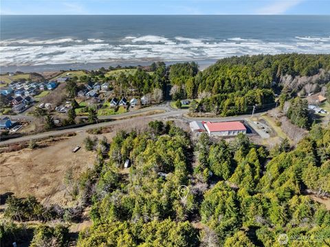 0 Biggs Avenue Pacific Beach WA 98571