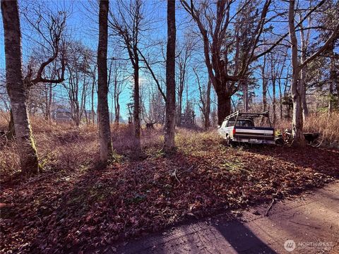 75 Beach Way Hat Island WA 98206