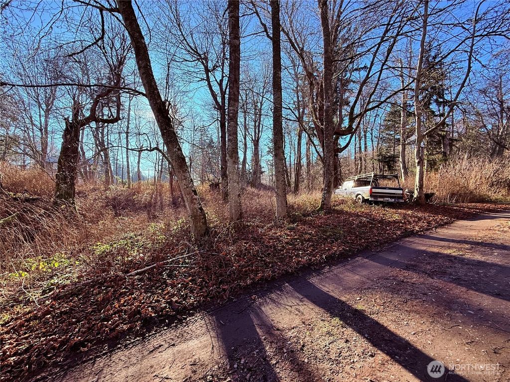 Photo of 75 F Beach Way, Hat Island, WA 98206 (MLS # 2466096)