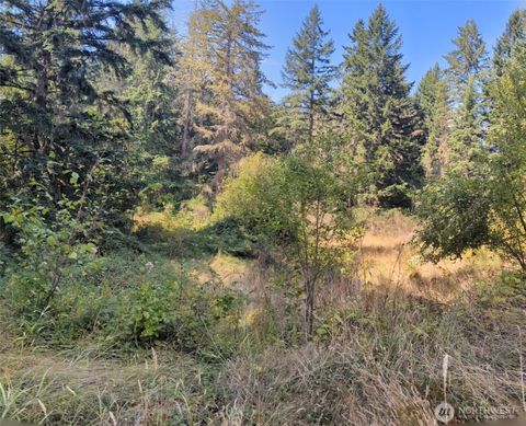 Photo of 33118 68th Avenue S, Roy, WA 98580 (MLS # 2425611)