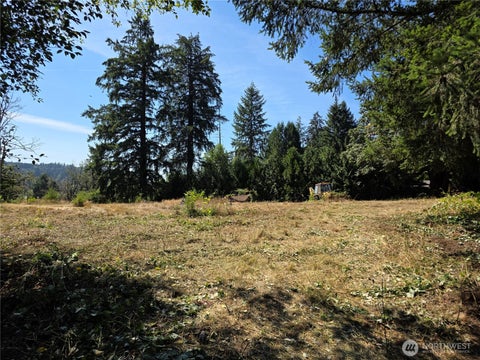 Photo of 349 xx 216th Avenue SE, Auburn, WA 98092 (MLS # 2577749)