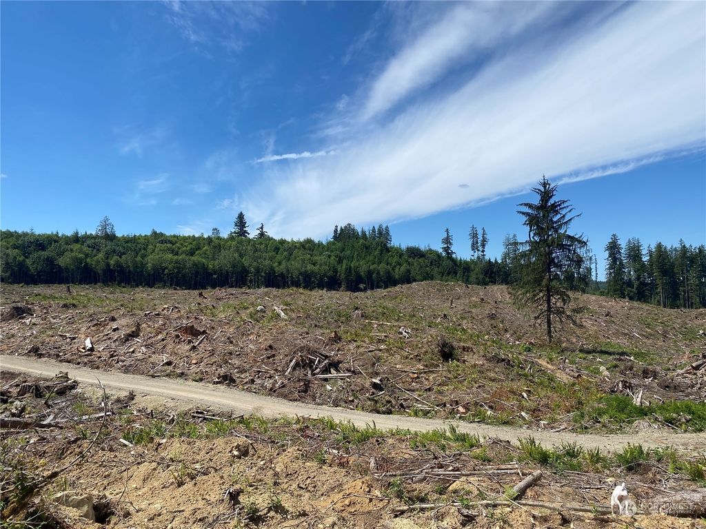Photo of 24300 X3 N Lake Cochran Road, Monroe, WA 98272 (MLS # 1999824)