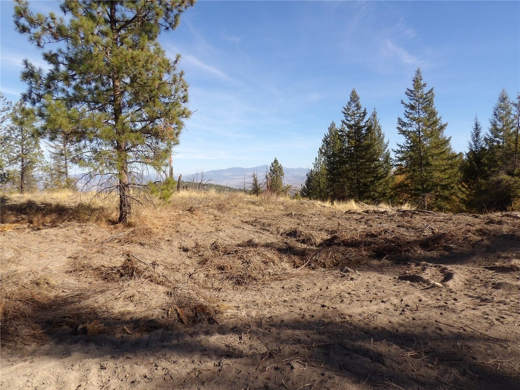 Photo of 0 TBD Stillwater Hill Road, Tonasket, WA 98855 (MLS # 2595581)