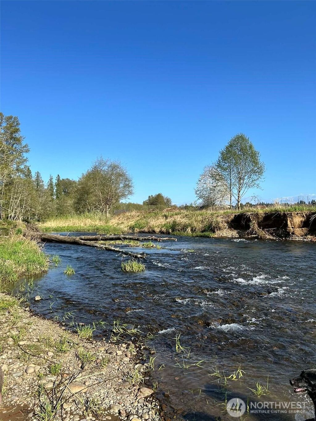 Photo of 1554 State Route 508, Onalaska, WA 98570 (MLS # 2503588)