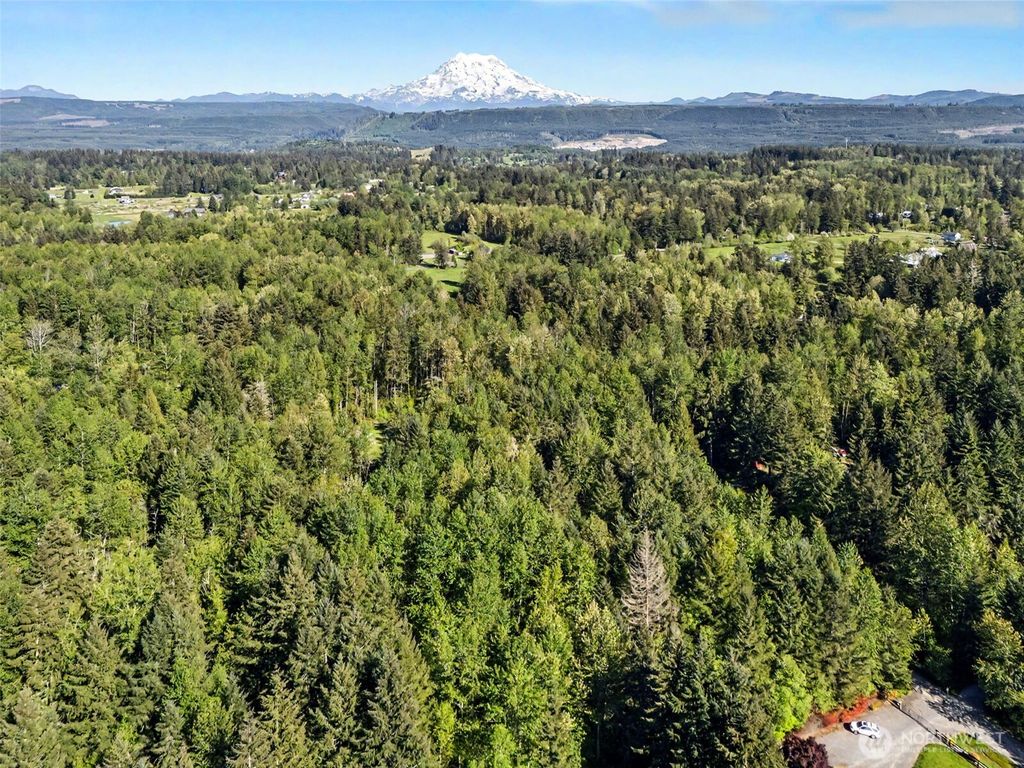 Photo of 13315 278th Street E, Graham, WA 98338 (MLS # 2519468)