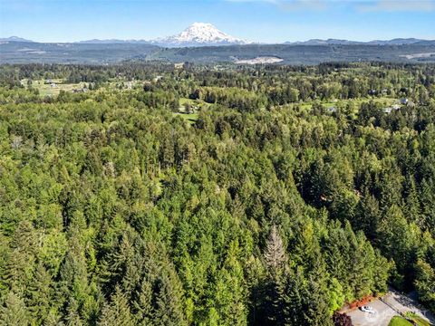 Photo of 13315 278th Street E, Graham, WA 98338 (MLS # 2519468)