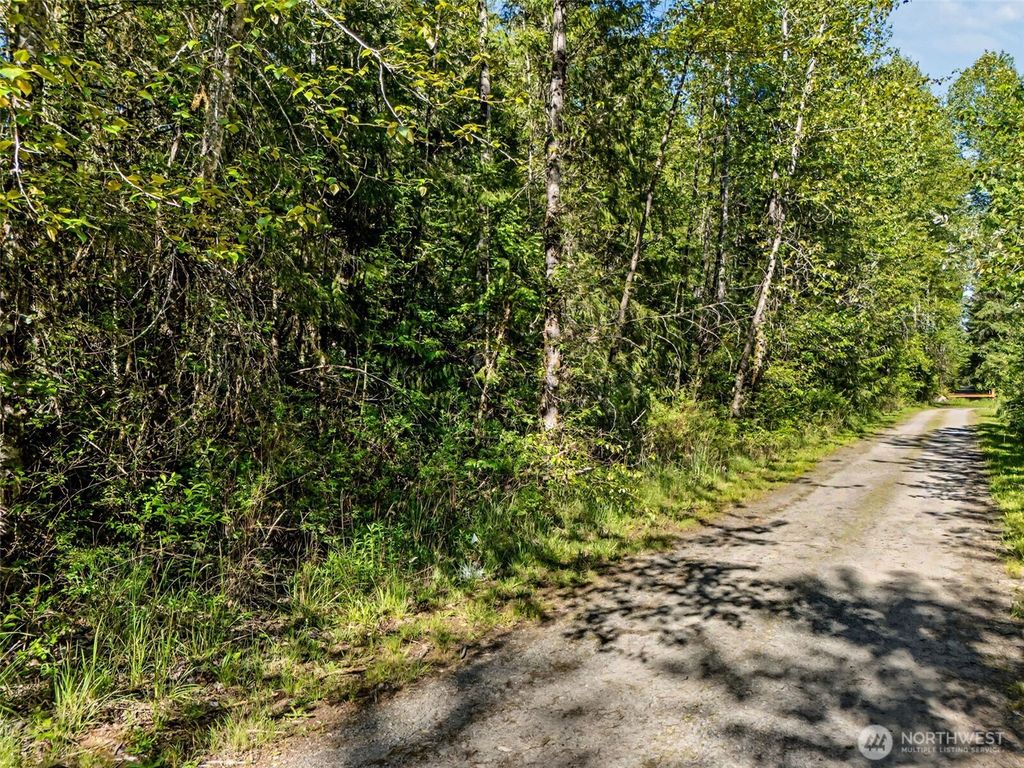 Photo of 13315 278th Street E, Graham, WA 98338 (MLS # 2519468)