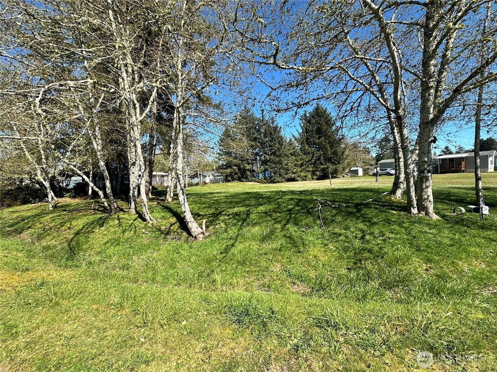 Photo of 732 Edgewood Avenue NE, Ocean Shores, WA 98569 (MLS # 2506154)