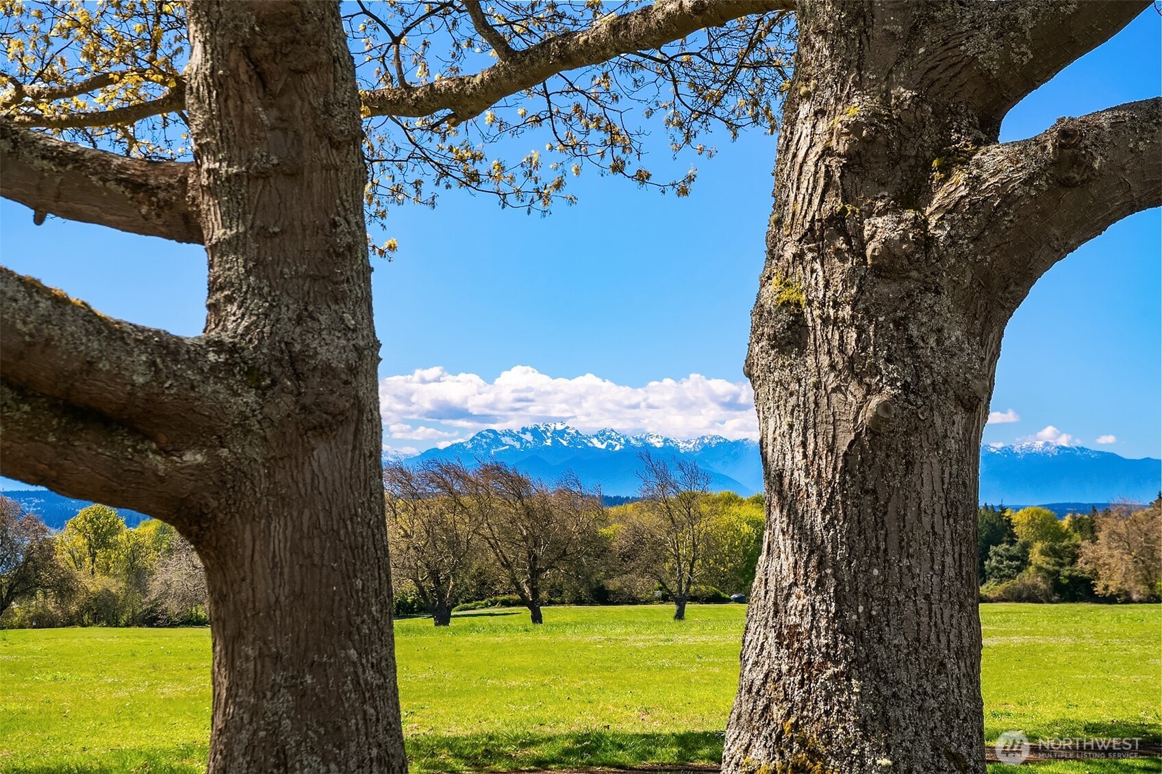 4004 Washington Avenue W