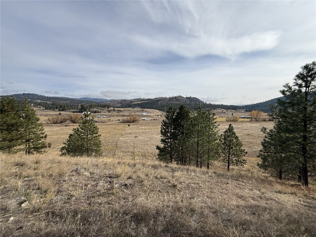 Photo of 0 Herron Creek Cut Off Road, Republic, WA 99166 (MLS # 2599842)
