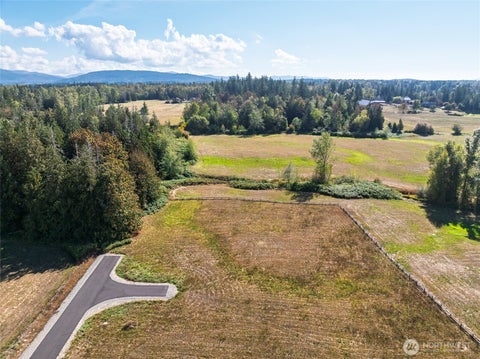 Photo of 1383 Ten Mile Road, Everson, WA 98247 (MLS # 2586207)
