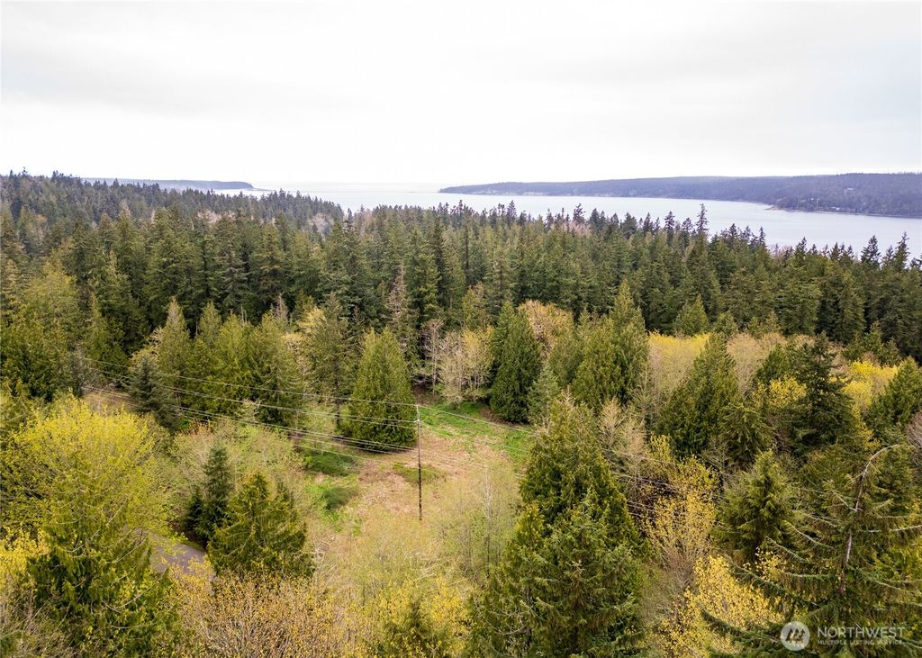 Photo of 313 Weston Parkway, Sequim, WA 98382 (MLS # 2508832)