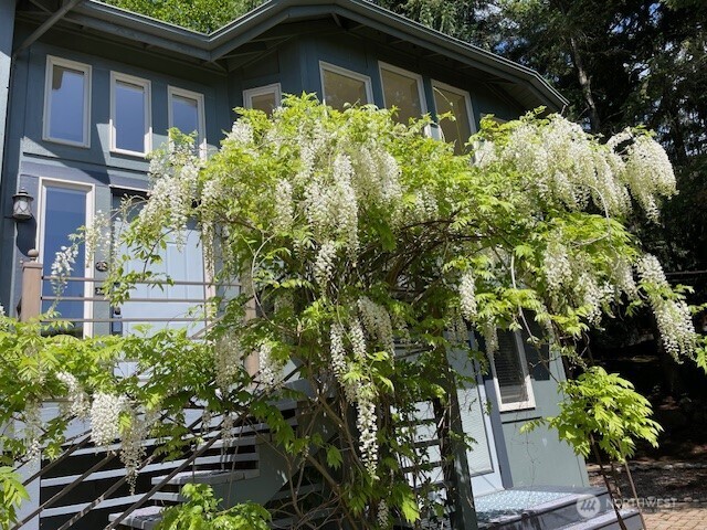 266 Quillyute Place