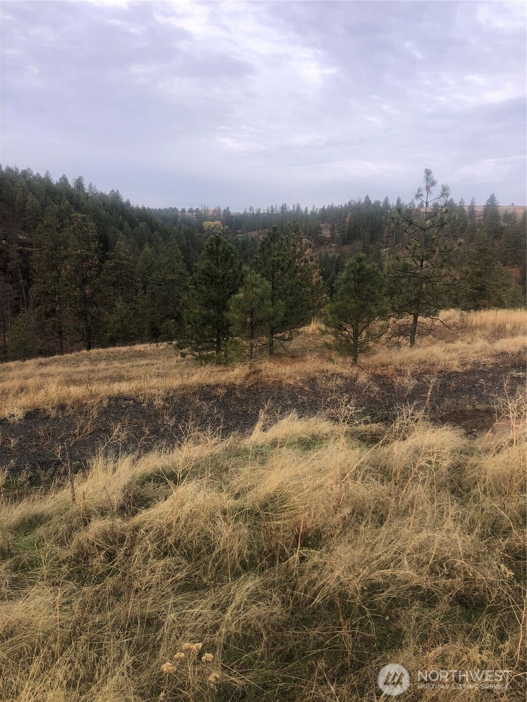 Photo of 30991 Pine Hen Lane E, Davenport, WA 99122 (MLS # 2460938)