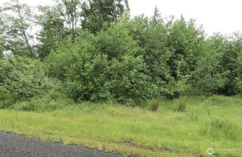 Photo of 0 Lomax Street, Aberdeen, WA 98520 (MLS # 2393947)