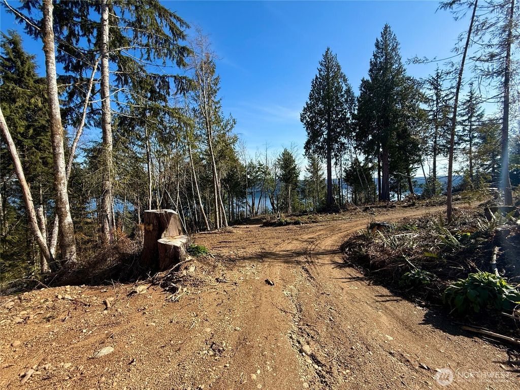 Photo of 63 Devereaux Drive, Lilliwaup, WA 98555 (MLS # 2492217)