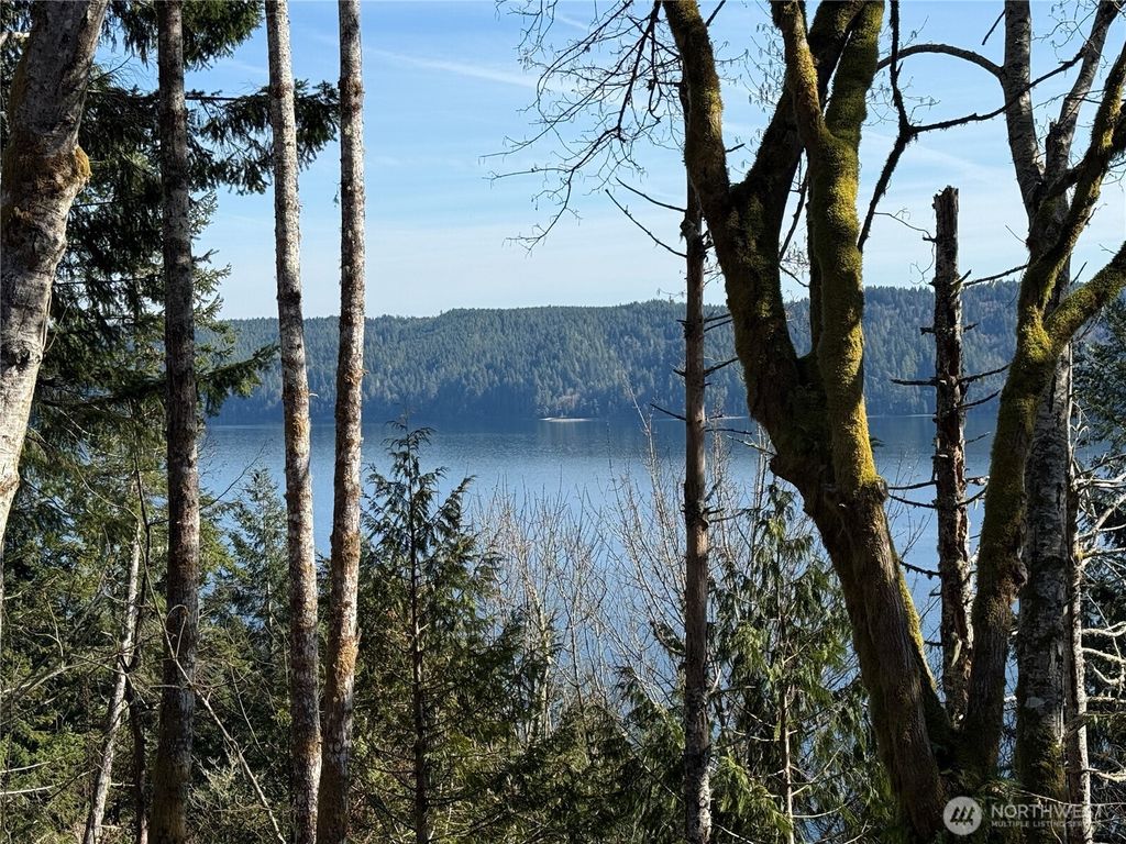 Photo of 63 Devereaux Drive, Lilliwaup, WA 98555 (MLS # 2492217)