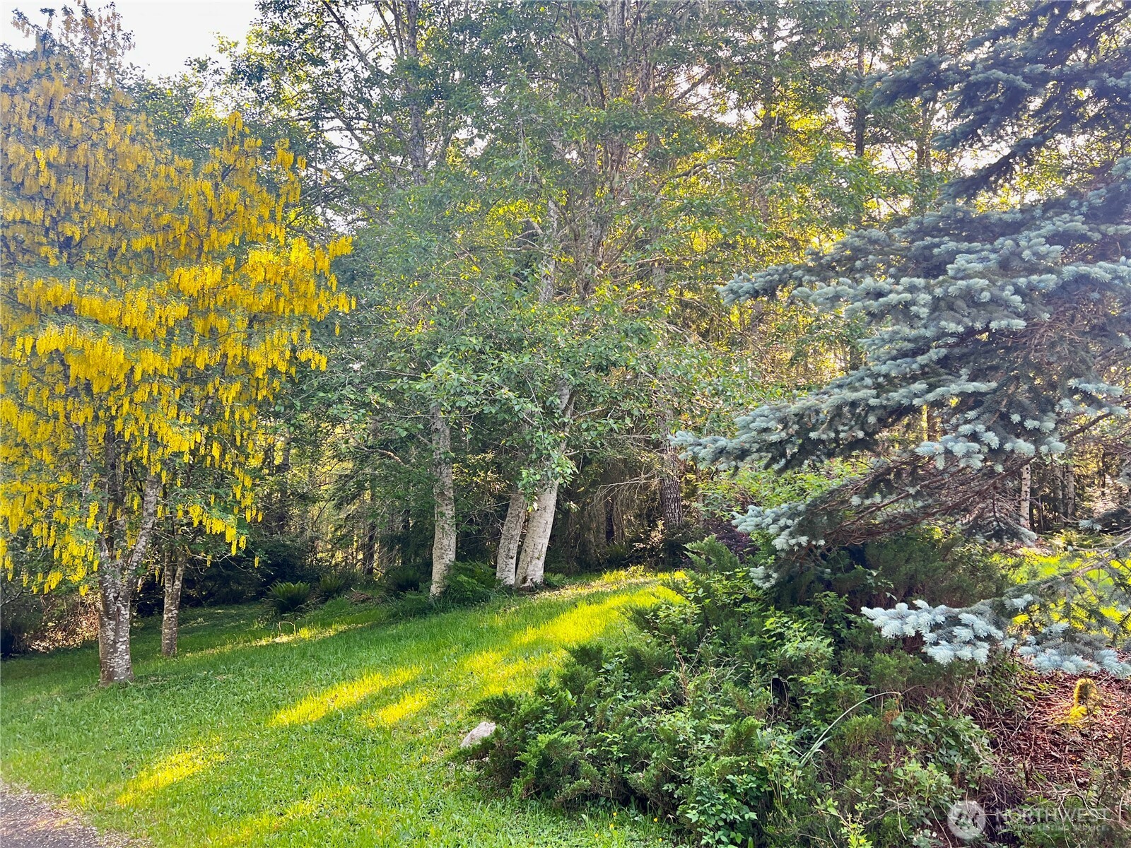 1488 W Wilderness Lane