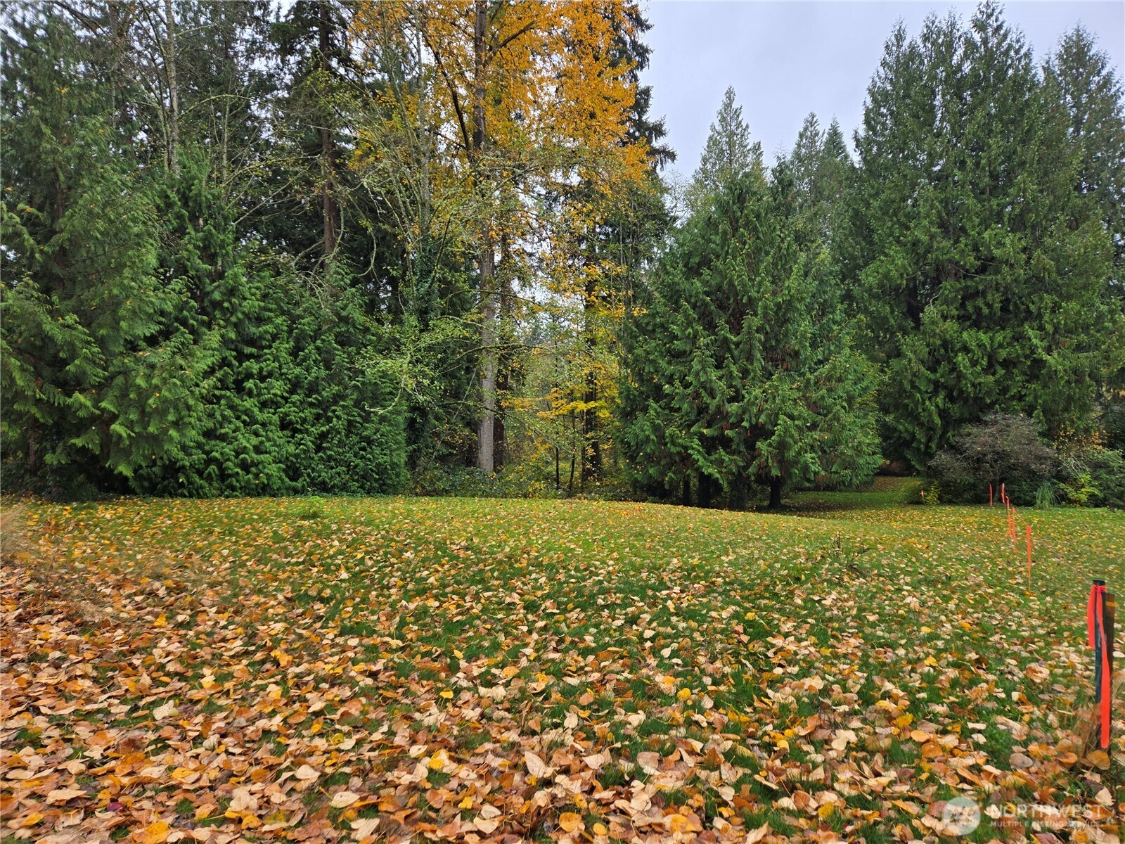 104 Slater Avenue NE