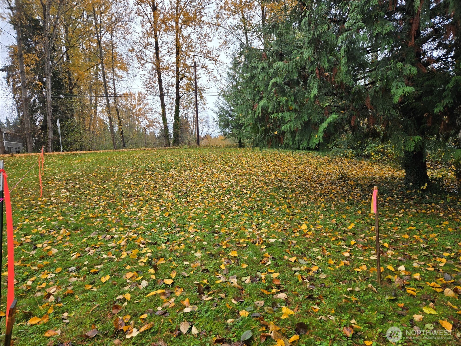 104 Slater Avenue NE