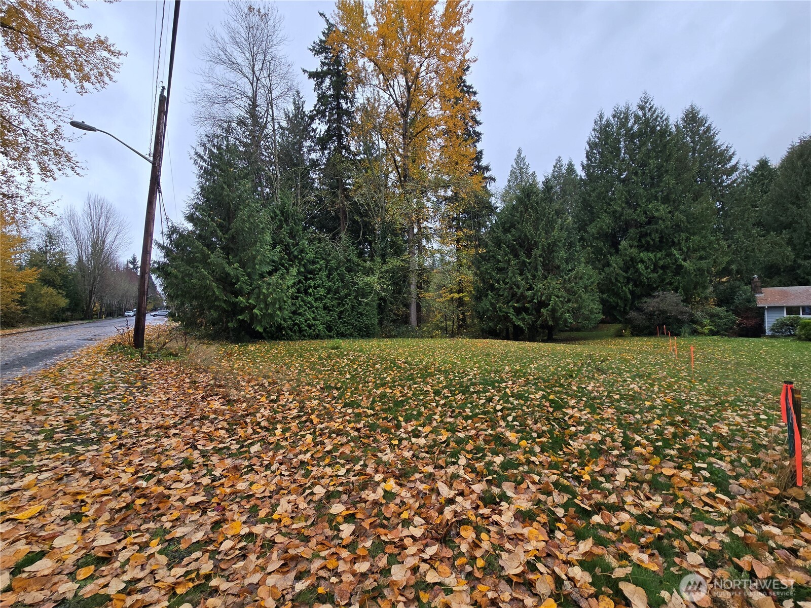 104 Slater Avenue NE