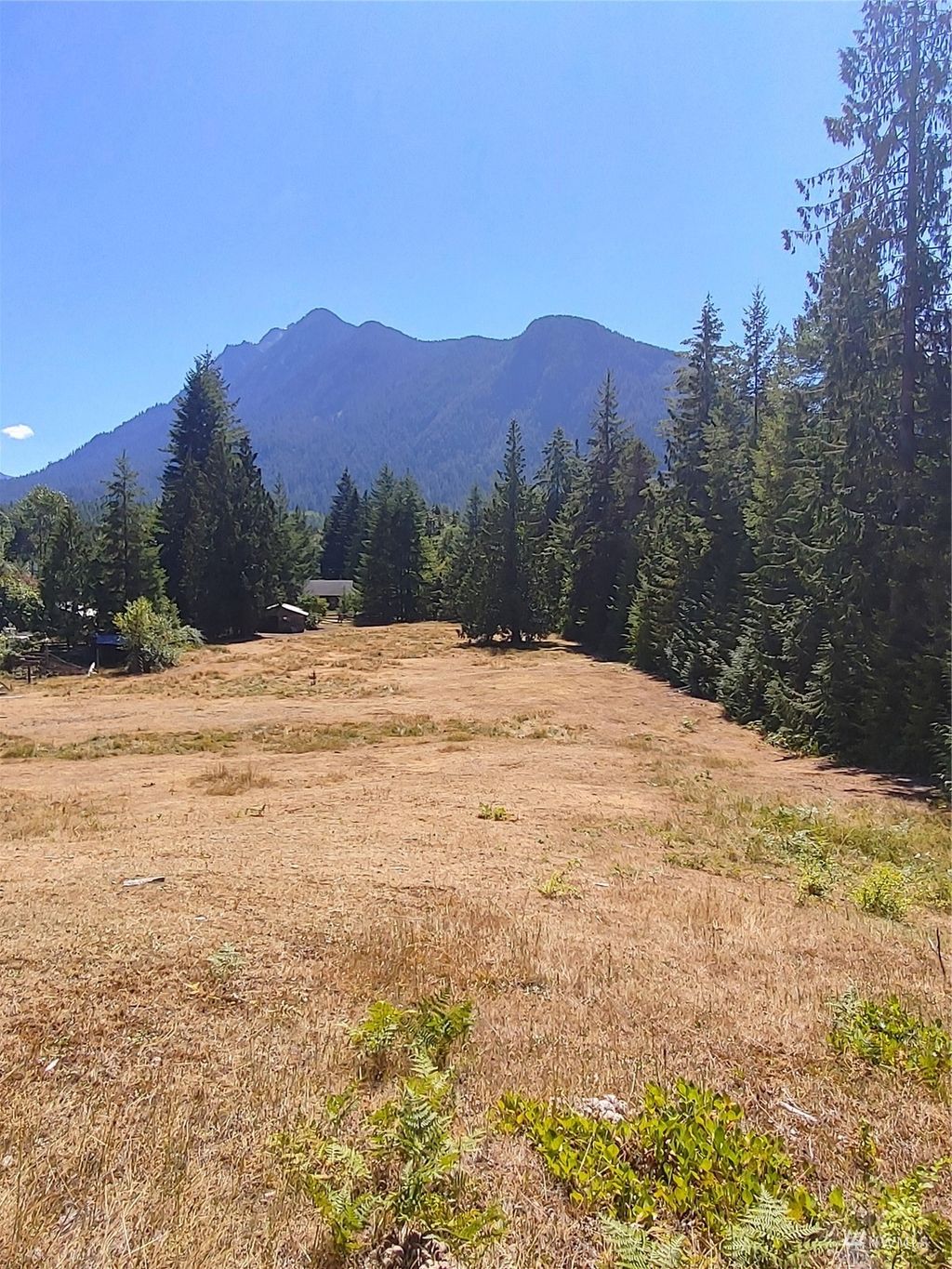 Photo of 0 456xx Squire Creek Road, Darrington, WA 98241 (MLS # 1984188)