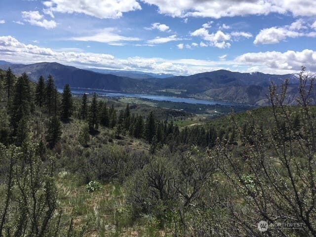 Photo of 0 Ivan Morse Road, Manson, WA 98831 (MLS # 2568452)