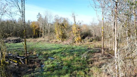 0 Jackson Hwy Toledo WA 98591