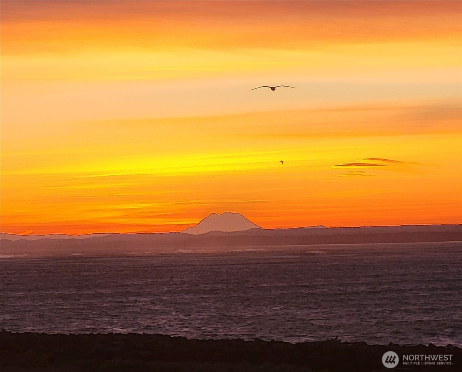 401 Westport View Street SW 502