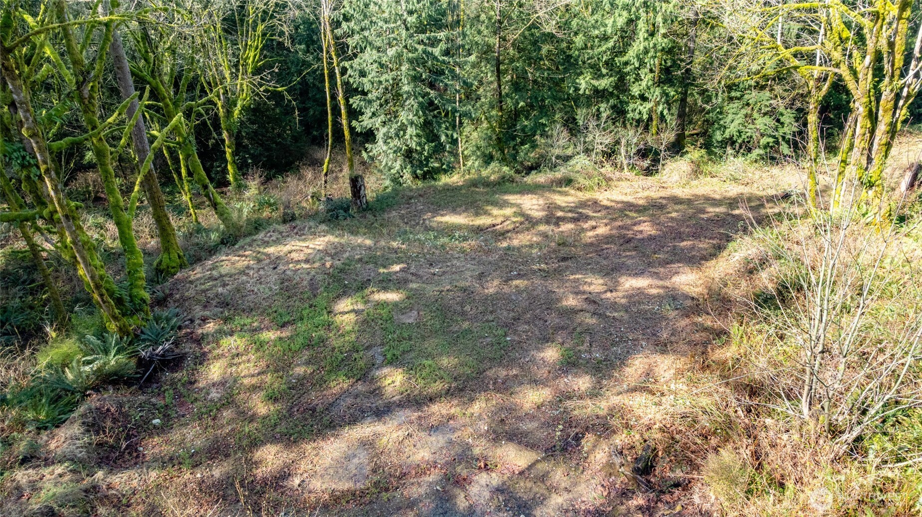 29631 124th Avenue NE