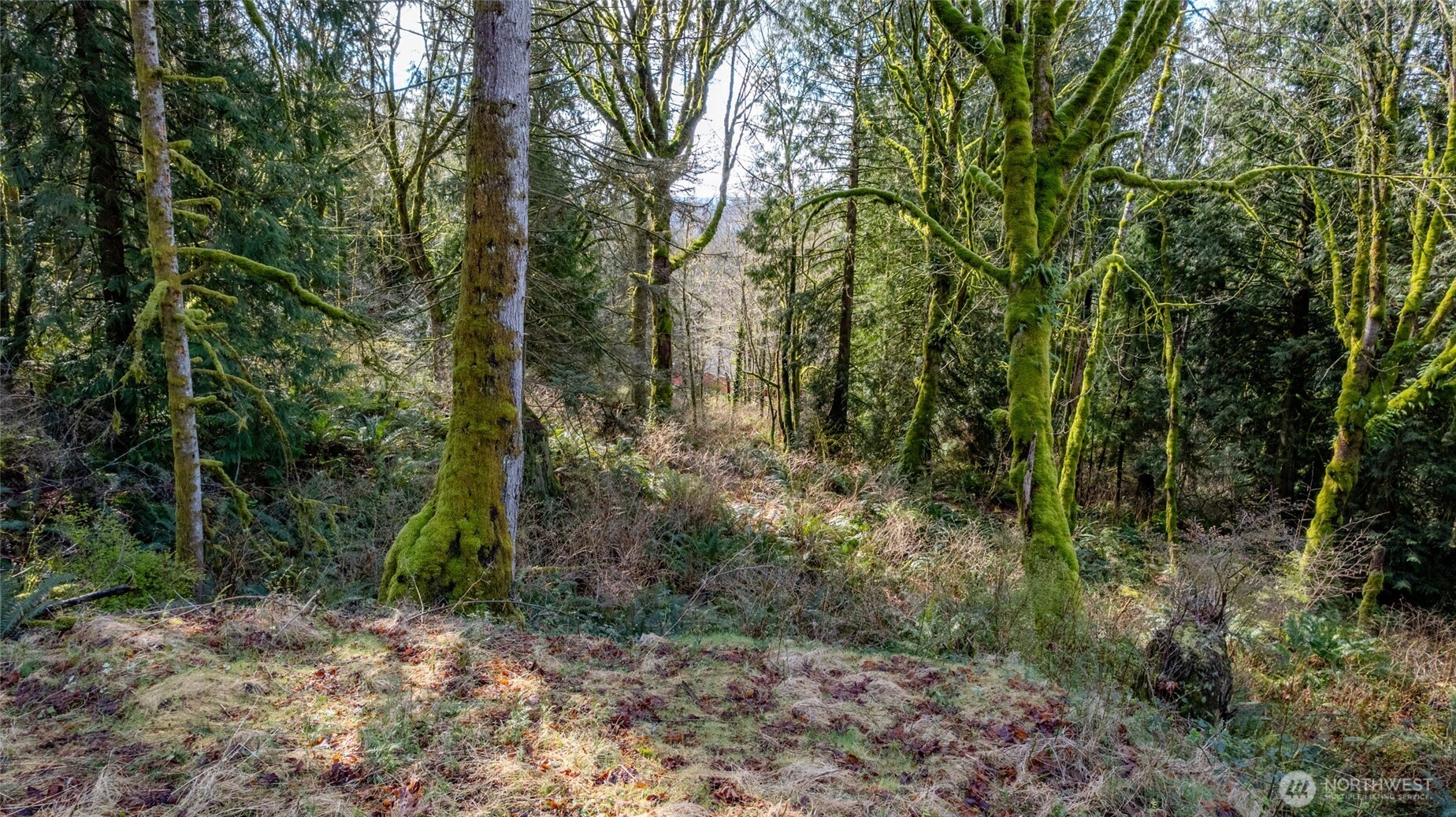 29631 124th Avenue NE