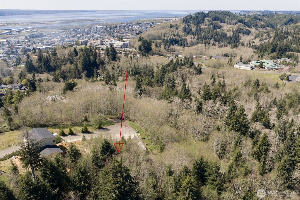 Photo of 1131 Grays Pointe Lane, Aberdeen, WA 98520 (MLS # 2506705)