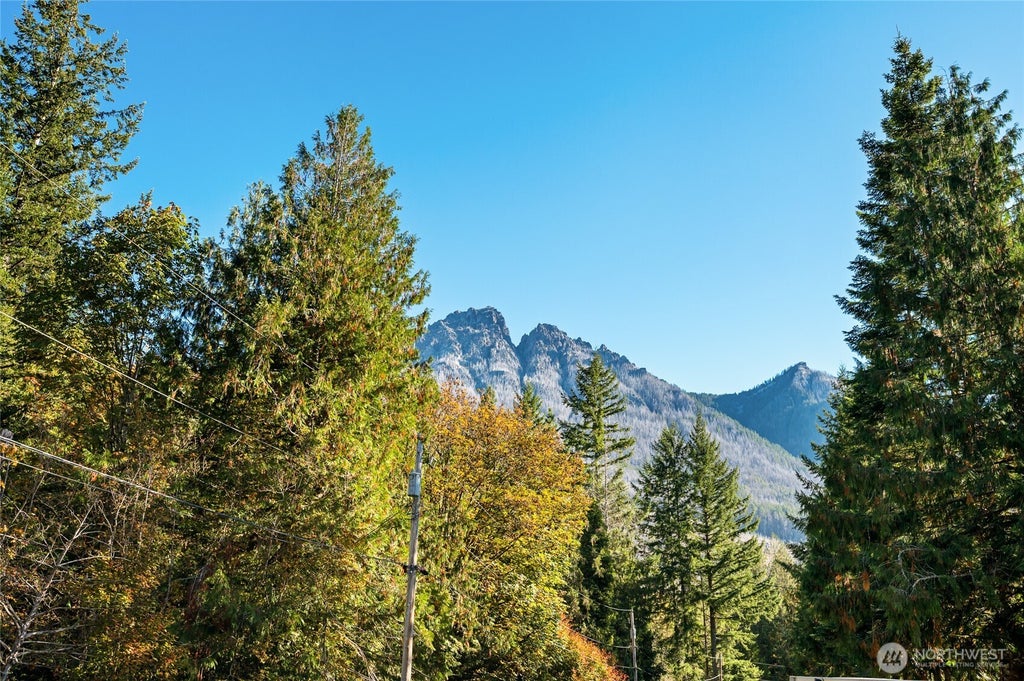 Photo of 17921 644th Avenue NE, Baring, WA 98251 (MLS # 2592635)