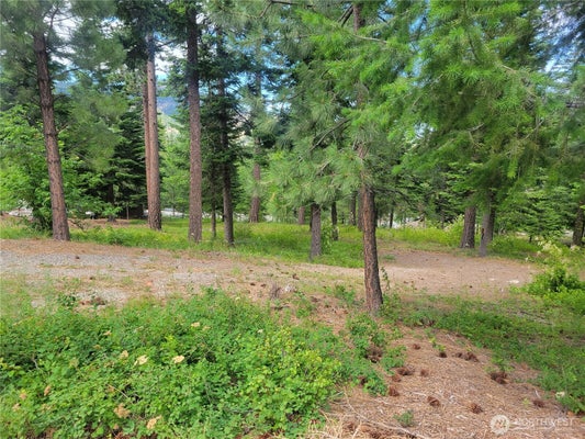 6757 FOREST RIDGE DR, WENATCHEE, WA 98801 - Image ee9b7b1f129d4068a23fa6ae0ccb3175/1785148355