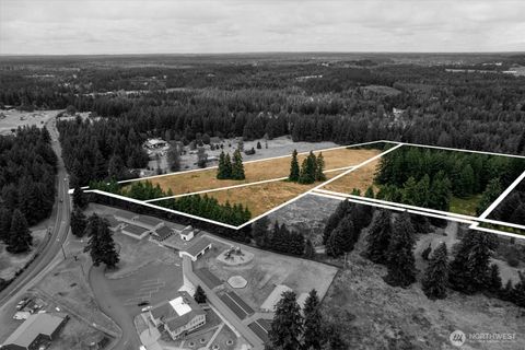 Photo of 16228 Bald Hills Road SE, Yelm, WA 98597 (MLS # 2487828)