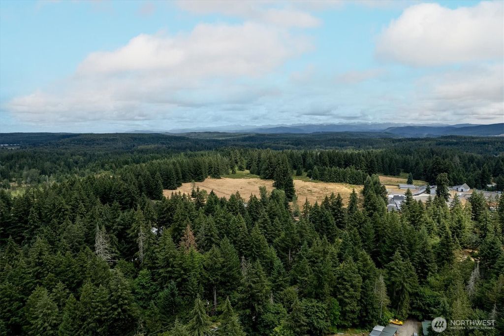 Photo of 16228 Bald Hills Road SE, Yelm, WA 98597 (MLS # 2487828)