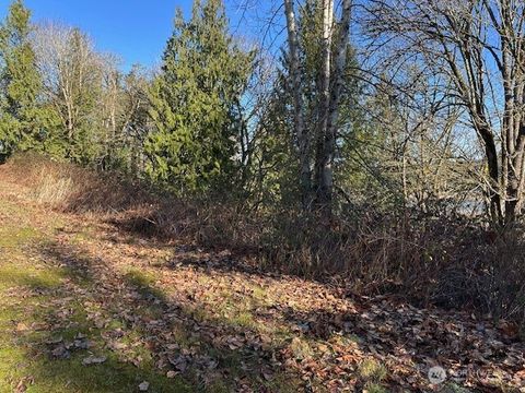 Photo of 57 XX 188th Avenue NE, Redmond, WA 98053 (MLS # 2471341)