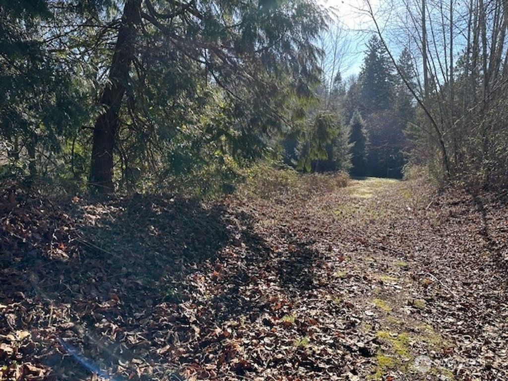 Photo of 57 XX 188th Avenue NE, Redmond, WA 98053 (MLS # 2471341)