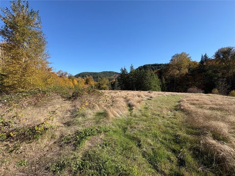 Photo of 0 NKA Bond Road, Castle Rock, WA 98611 (MLS # 2596526)