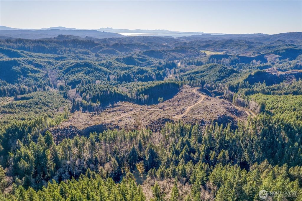 Photo of 0 West Deep River Road, Naselle, WA 98638 (MLS # 2470010)