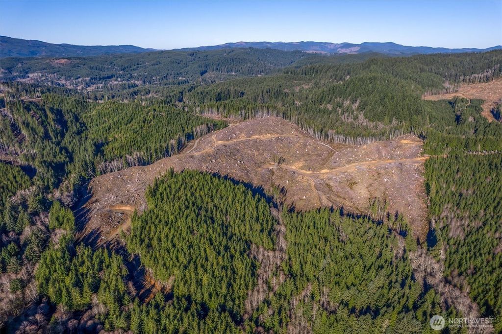 Photo of 0 West Deep River Road, Naselle, WA 98638 (MLS # 2470010)