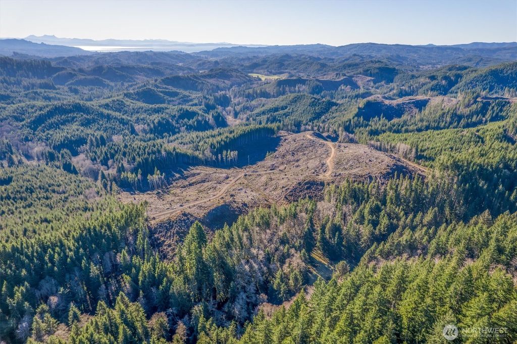 Photo of 0 West Deep River Road, Naselle, WA 98638 (MLS # 2470010)