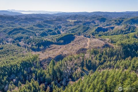Photo of 0 West Deep River Road, Naselle, WA 98638 (MLS # 2470010)