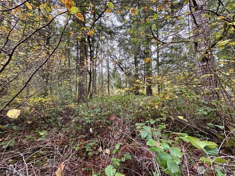 Photo of 10824 Madrona Drive Dr, Anderson Island, WA 98303 (MLS # 2452350)