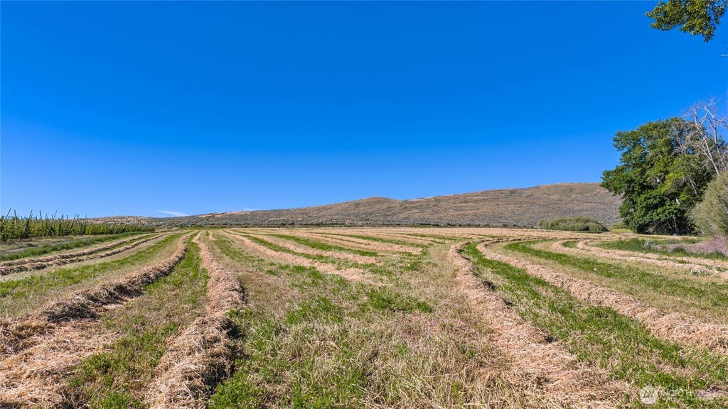 Photo of 1 Borland, Ellensburg, WA 98926 (MLS # 2540255)